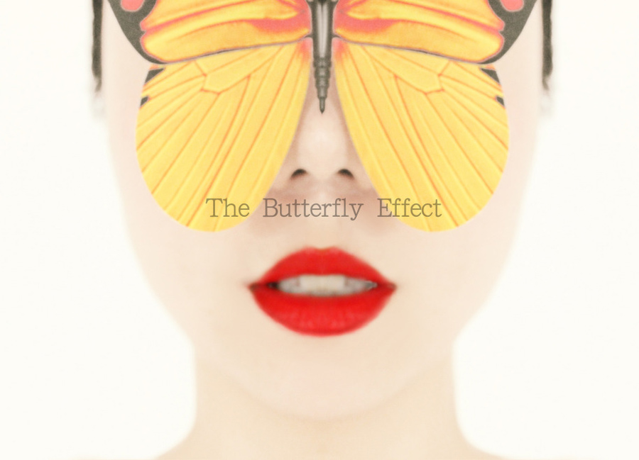 ӾThe Butterfly Effect